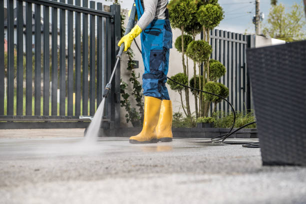 Professional  Pressure Washing in Dahlonega, GA